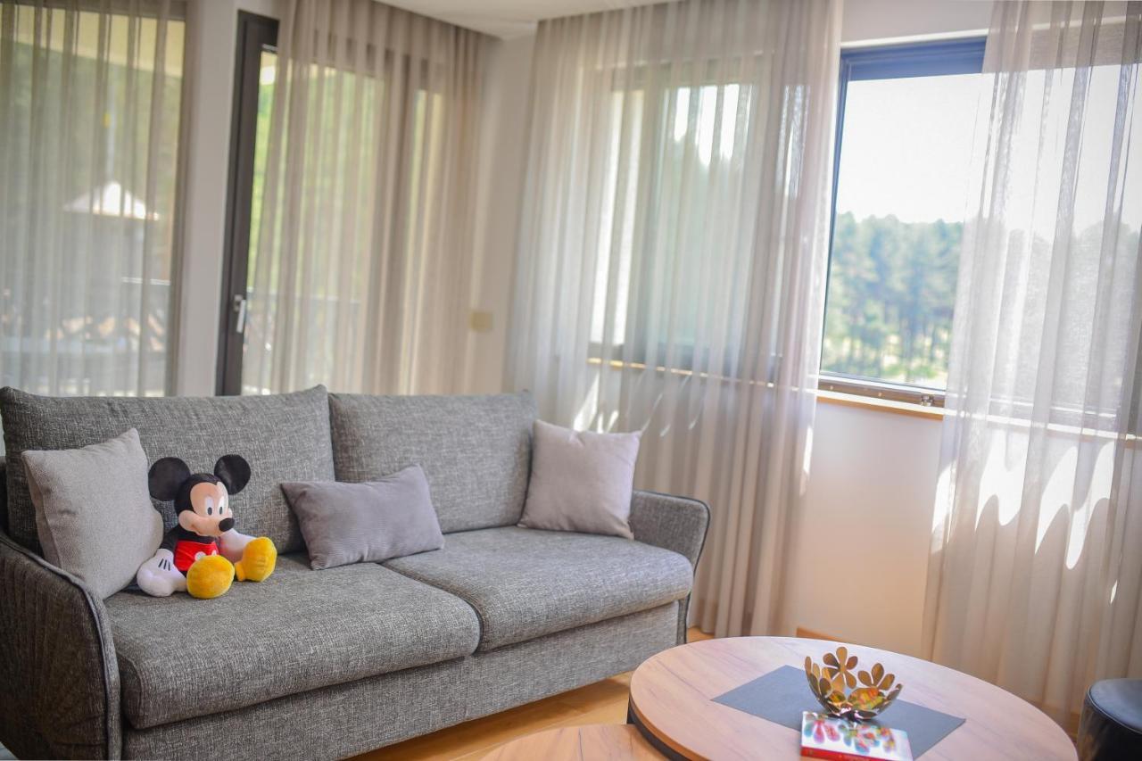 Vila Masa Zlatibor Bagian luar foto